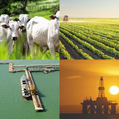 Abertura de empresa em Campos 2 Abertura de empresa em Campos - Contabilidade Digital para todo o Brasil | GG Contabilidade