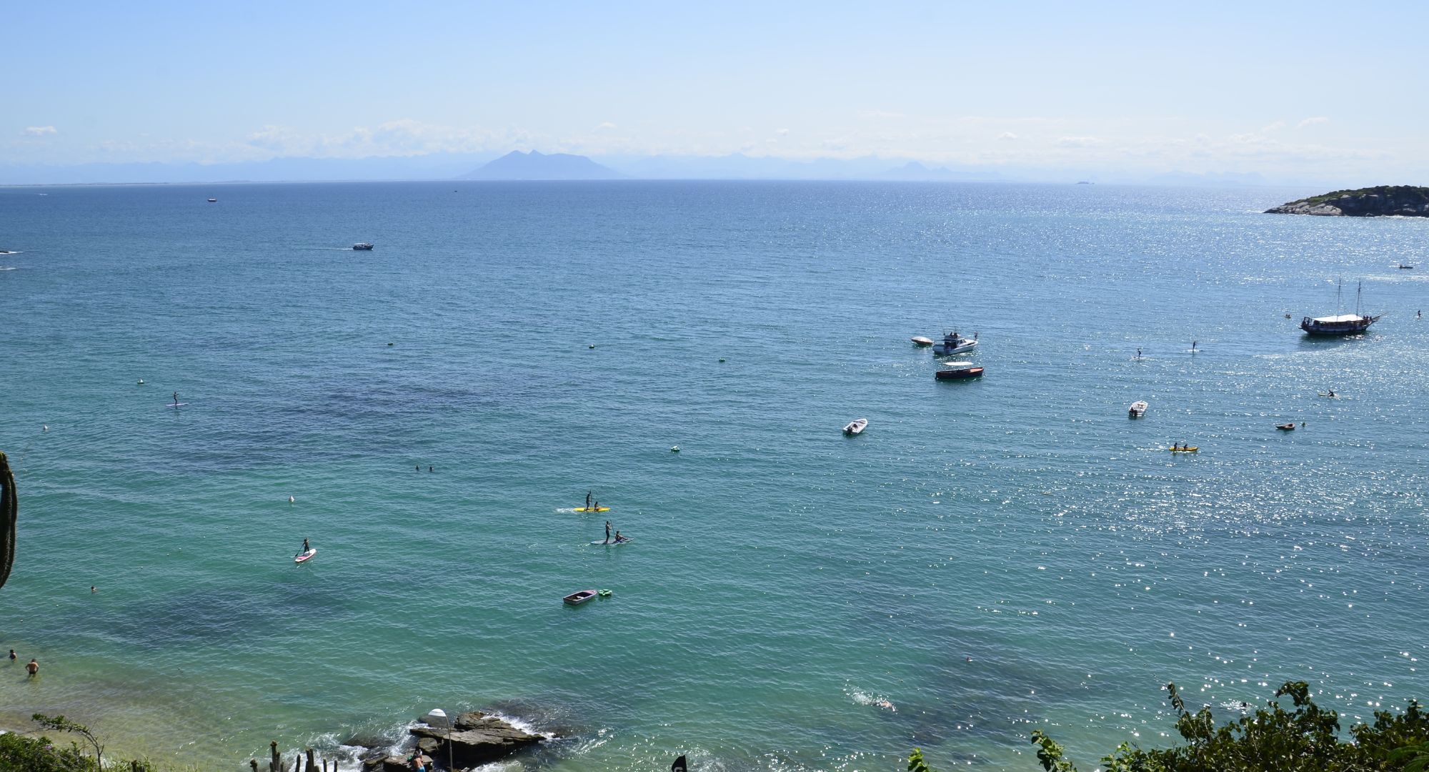 Abertura de Empresa para Pet Shop: Guia Completo para Começar com Segurança 4 Abertura de empresa para Pet Shop