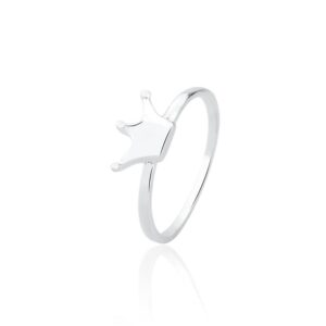 Anel Prateado Liso Coroa