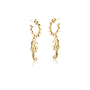 Brinco Fol. Dourado  Liso 1 Ping. Cavalo Marinho Meia Argola Bolinha 23mm